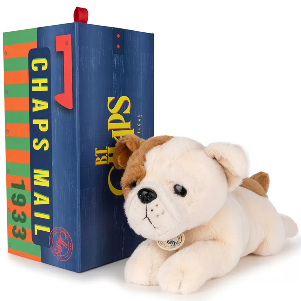 B.T. Chaps Peluche>Bertha le Bulldog Américain