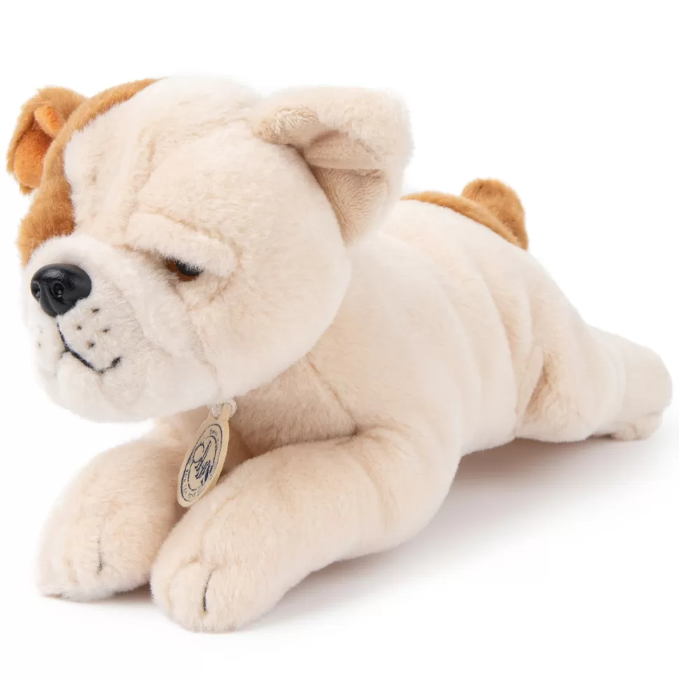 B.T. Chaps Peluche>Bertha le Bulldog Américain