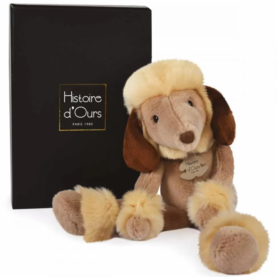 Histoire d'Ours Peluche>Caniche - Les Ebouriffés