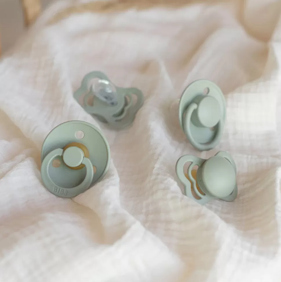 Bibs Succion>Coffret d'Essai Tétines - Sauge