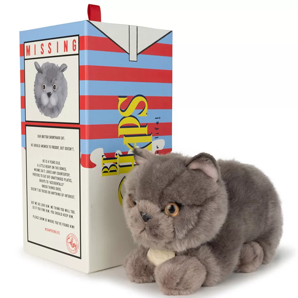 B.T. Chaps Peluche>Freddy le British Shortair