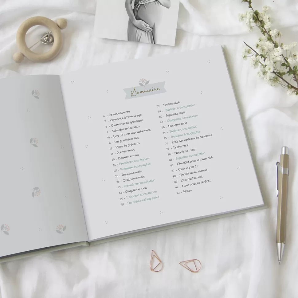 Zü Décoration>Journal de Grossesse