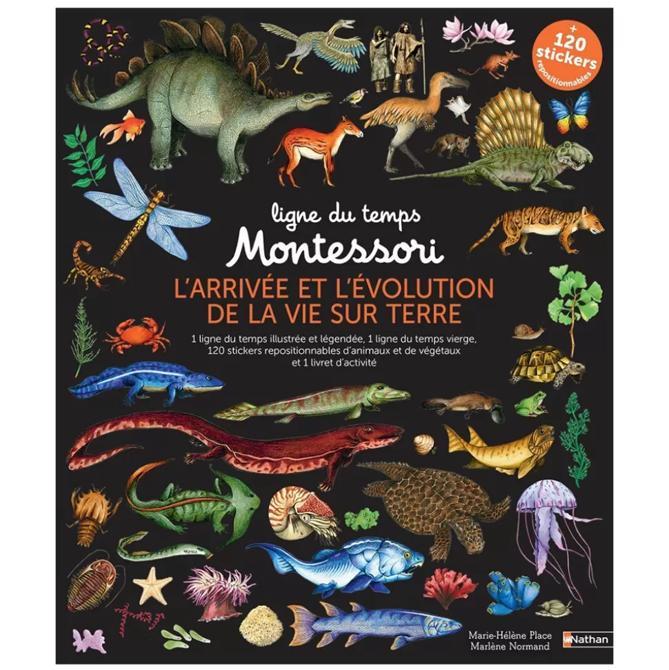 Nathan Editions Loisirs Créatifs>Ligne du Temps Montessori - L'arrivée et l'Evolution de la Vie sur Terre