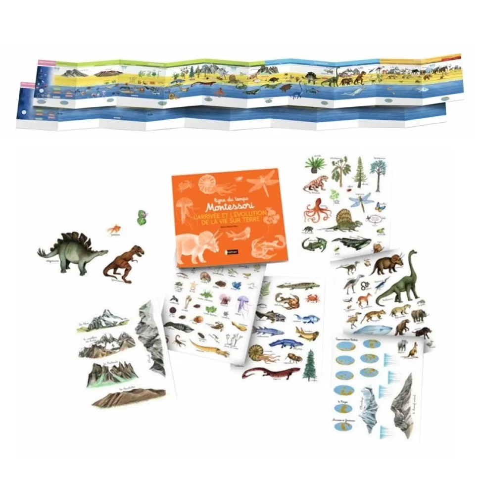 Nathan Editions Loisirs Créatifs>Ligne du Temps Montessori - L'arrivée et l'Evolution de la Vie sur Terre