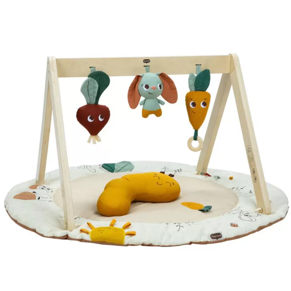Tiny Love Tapis D'éveil>Tapis d'Activités et Arche Garden of Adventure