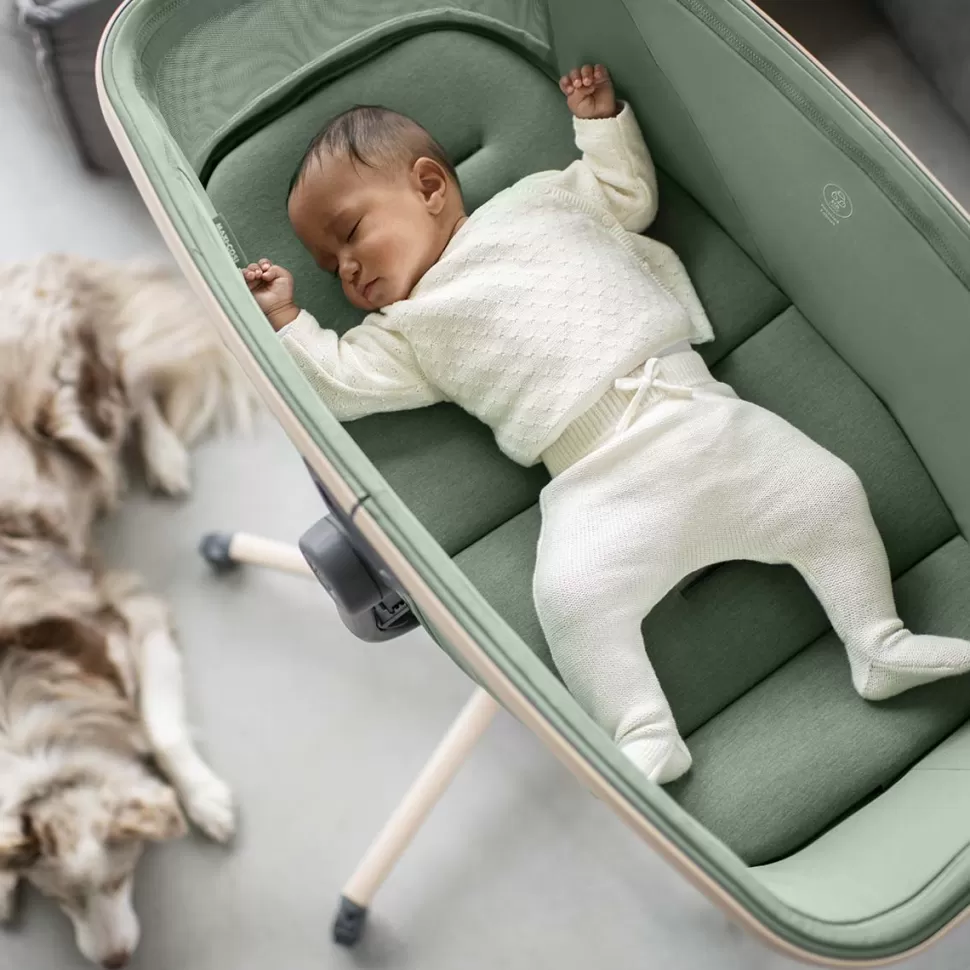 Maxi-Cosi Meuble Bébé>Transat Berceau Alba - Beyond Green