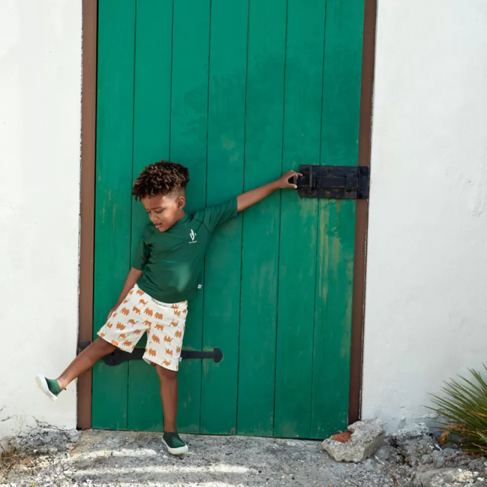 LÄSSIG Accessoires Bébé>T-shirt Anti-UV Manches Longues Desert Aventure Cactus Vert - 3/6 Mois